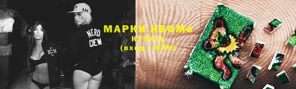 молекула духа Богданович