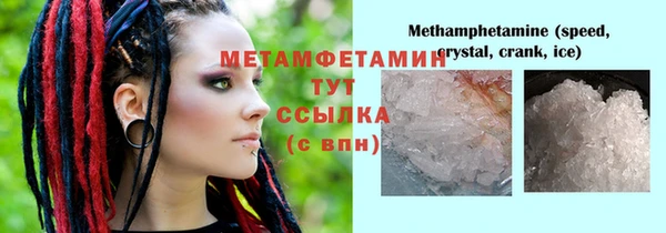 молекула духа Богданович