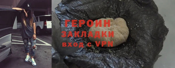 молекула духа Богданович