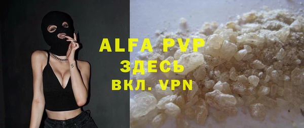 молекула духа Богданович