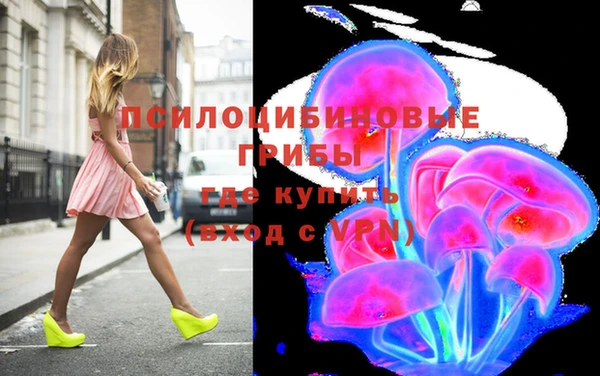 молекула духа Богданович