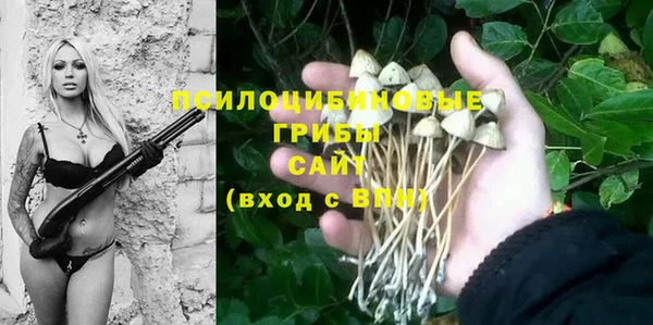 молекула духа Богданович