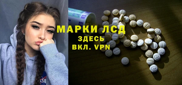 индика Покачи