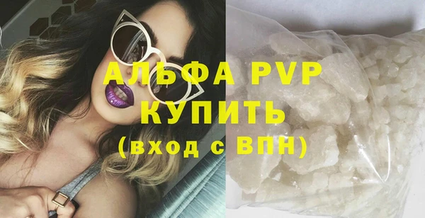 молекула духа Богданович