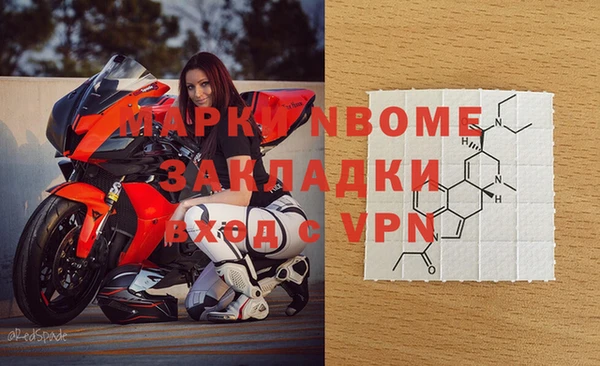 молекула духа Богданович