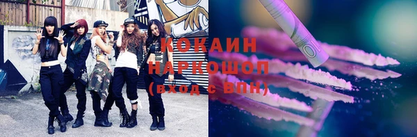 apvp Богородицк