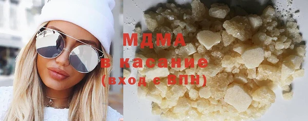 молекула духа Богданович