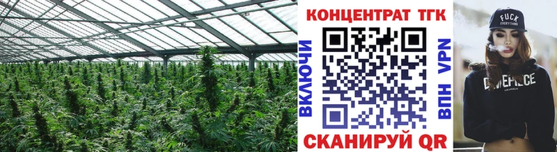 сайты даркнета наркотические препараты  Новомичуринск  ТГК концентрат 