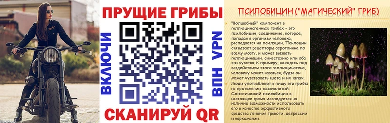 где продают   Новомичуринск  ОМГ ОМГ онион  Галлюциногенные грибы Psilocybine cubensis 